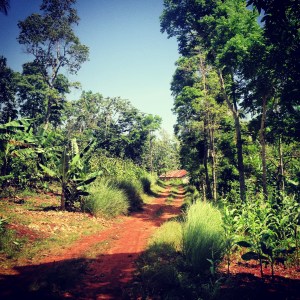 The pathways in Haiti always seem to lead me home.